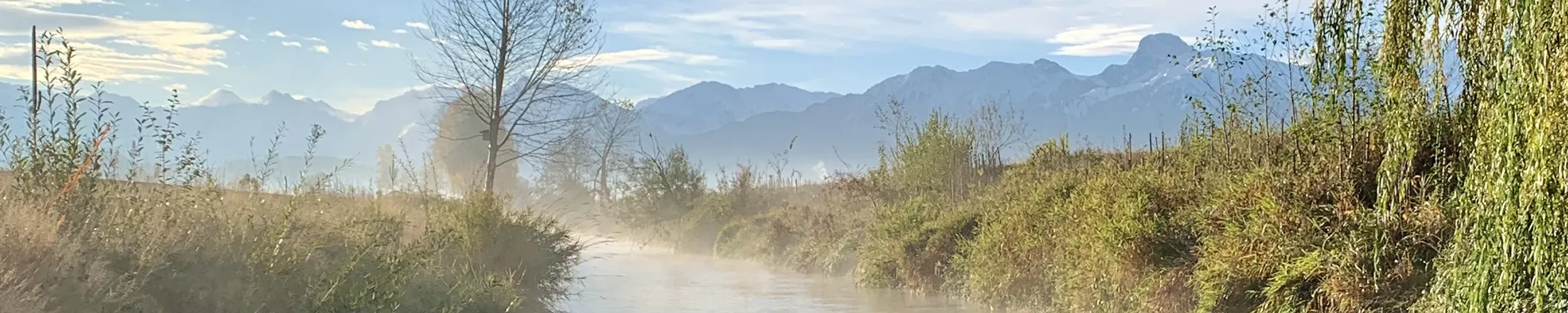 Headerfoto Gürbe Nebel - lokaler Gewerbeverein KMU Toffen-Kaufdorf plus
